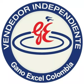 Vendedor Independiente Gano Excel