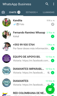Vista de Chats WhatsApp Business